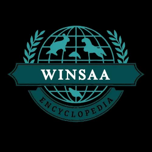 Winsaa Logo